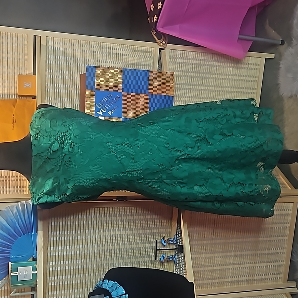 Beautifully Detailed Eva Mendes Brand Lace Dress